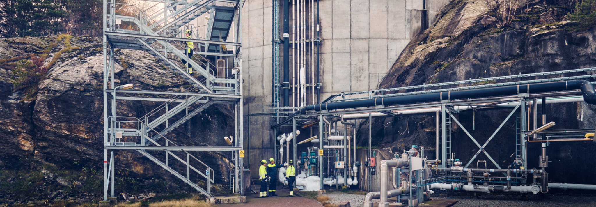 Apex - tranemoshop.dk