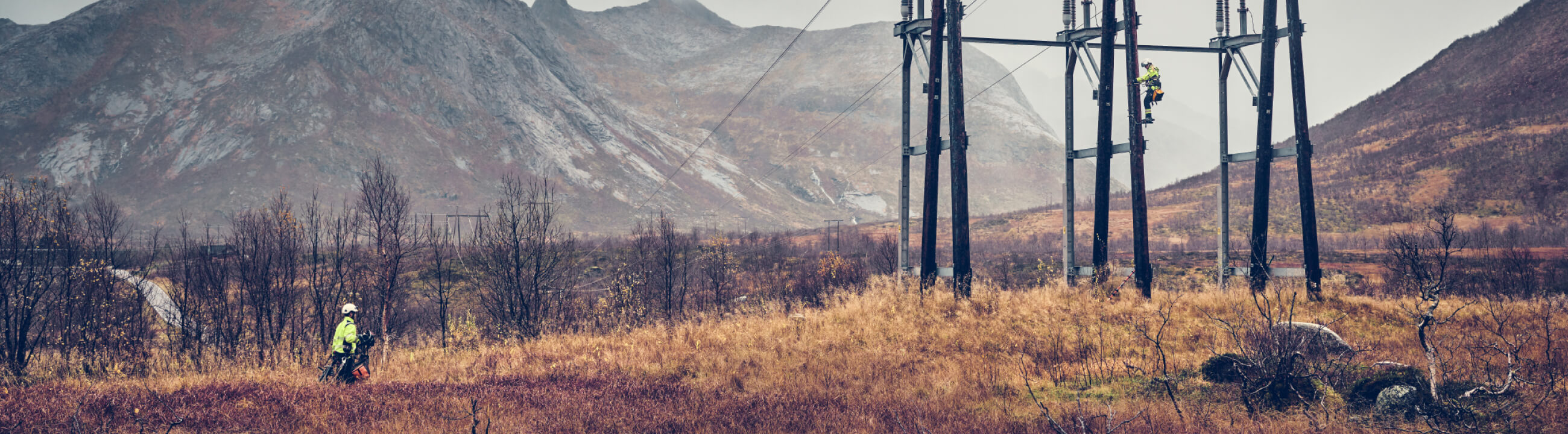 Elektrisk lysbue beskyttende og multinorm certificerede produktnyheder | tranemoshop.dk