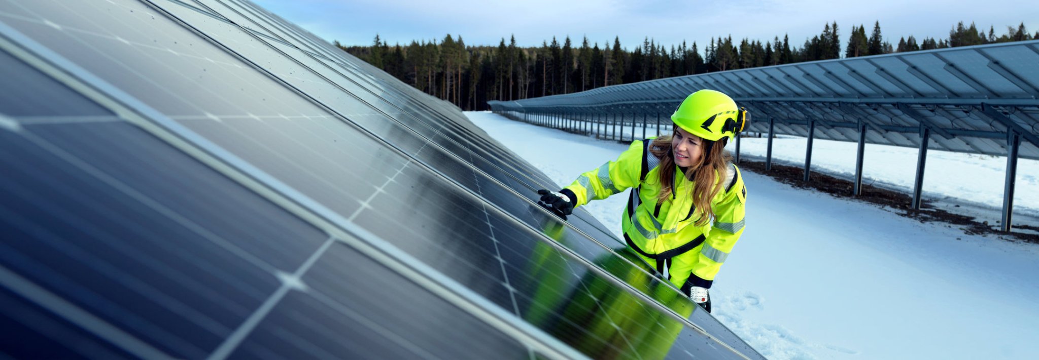 Vinter FR - tranemoshop.dk